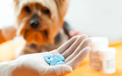 Veterinary Medicines Veterinary Medicines